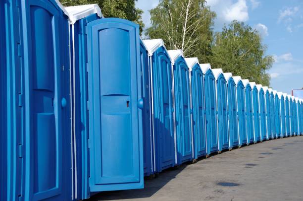 Best Affordable portable toilet rental  in Weatherby Lake, MO